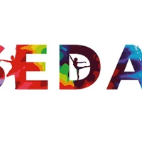 SEDA Academy of Arts