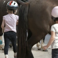 Equestrian Center Jura Sud - Lac De Vouglans