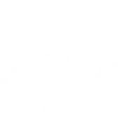 Real Life Fitness
