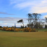 Balgove Course