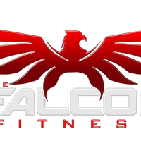 The Falcon fitness