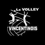 Volley ball Vincentinois