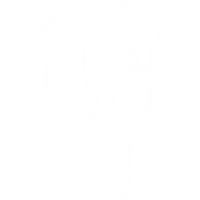 Gymnastique Rythmik Quebec