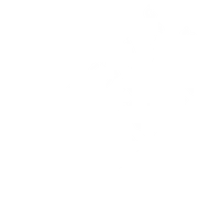St Clair Skate Park