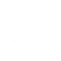 Long Lake Adventures