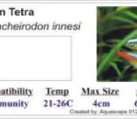 Aquascape Fish Imports TRADE ONLY