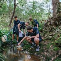 Silkwood School
