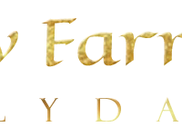 Emily Farrugia Bellydance