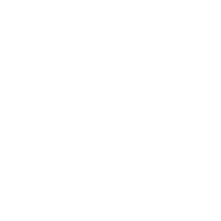 Purpose Training