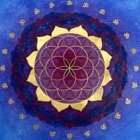 Ajna Yoga Sonothérapeute, Professeur De Yoga, Praticienne Reiki Usui
