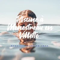 Piscine à Menestreau en Villette