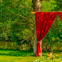 CosyCamp - Tree House
