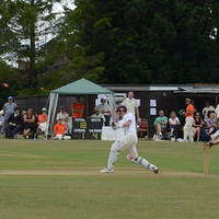 Wantage and Grove Cricket Club 