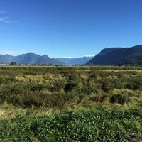 Leghorn Ranch Horseback Trail Rides