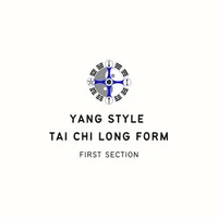 Paul Cavel - The Tai Chi Space