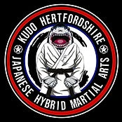 Hertfordshire Kudo Academy