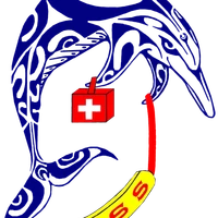 AMSS 82 Association Montalbanaise de Sauvetage et de Secourisme