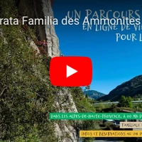 Ferrata Familia des Ammonites