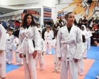 Olympic Martial Arts Centre