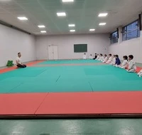 Karate Lyon Course Karate Children And Adults