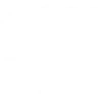 Transform40 Carlton