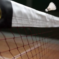 Fireball Premium Badminton Academy - Annanagar