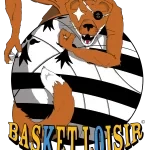 Basket Loisir