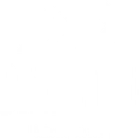 Momentum Collective