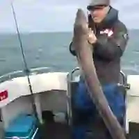 Bluefin Charter Fishing Trips
