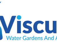 Viscum