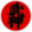 Conquest Martial arts