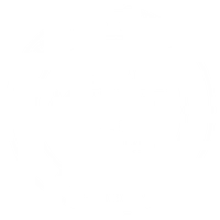 Dancing Academy