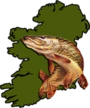 Angling Services Ireland