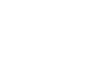 Christchurch Icelandic Horse Treks