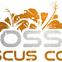 Crossfit Hibiscus Coast
