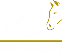 BC Horse Training