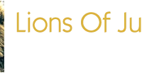 Lions of Judah Boxing Academy