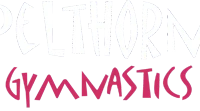 Spelthorne Gymnastics