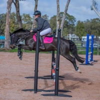 The Thoroughbred Sporthorse Network