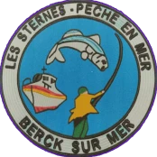 Les Sternes Pêche en Mer