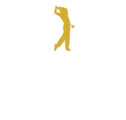 Designer Golf Ltd