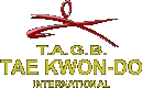 Amesbury Tae Kwon Do (TAGB)