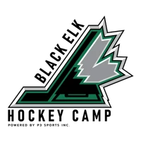 P3 Sports Inc.