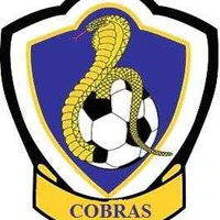 Portage Cobras Soccer Club