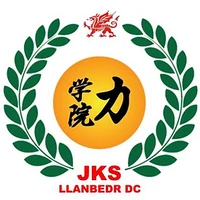 Llanbedr DC Karate Club