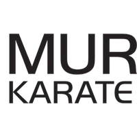 Murphy's Karate Academy