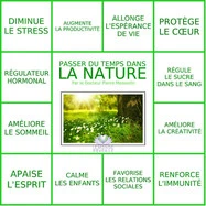 Reflex ' Be Well En Limousin
