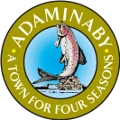 Adaminaby Swimming POOL