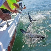 St. Andrews Sport Fishing Co.