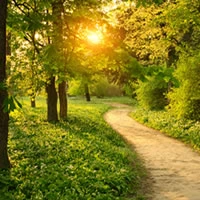 OM Shanti Bhawan - Brahma Kumaris Rajayoga Meditation Centre Delhi